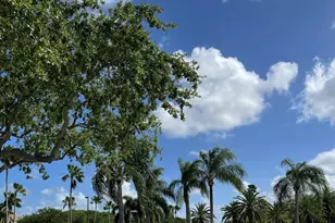 8895 N Bates Rd, Palm Beach Gardens, FL 33418 - Photo 56