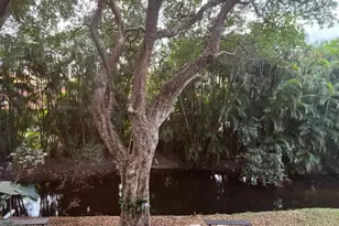 1605 S US Hwy 1, Jupiter, FL 33477 - Photo 24