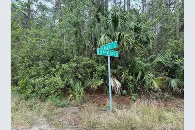 3395 Fitzpatrick Avenue SW, Palm Bay, FL 32908 - Photo 1