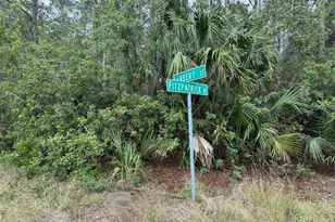 3395 Fitzpatrick Ave SW, Palm Bay, FL 32908 - Photo 1