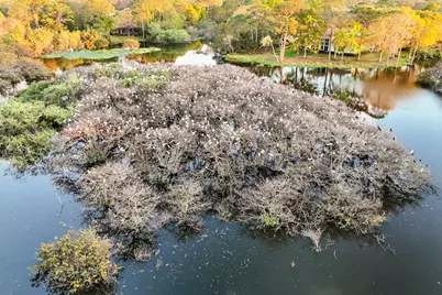 1737 NW Buttonbush Circle, Palm City, FL 34990 - Photo 88