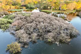 1737 NW Buttonbush Cir, Palm City, FL 34990 - Photo 88