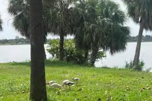 2020 Lake Osborne Dr, Lake Worth Beach, FL 33461 - Photo 36