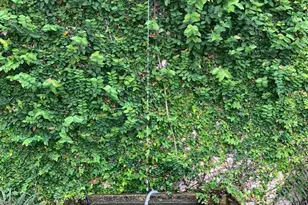 3950 Horse Trail, Loxahatchee, FL 33470 - Photo 18