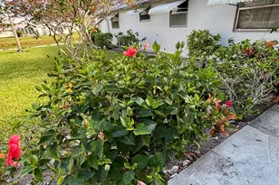 185 Valencia H, Delray Beach, FL 33446 - Photo 4