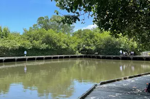 4984 SE Railway Ave, Stuart, FL 34997 - Photo 8