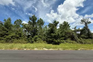 Tbd SW 177th Pl Rd, Ocala, FL 34473 - Photo 1