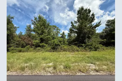 Tbd SW 177th Place Road, Ocala, FL 34473 - Photo 4