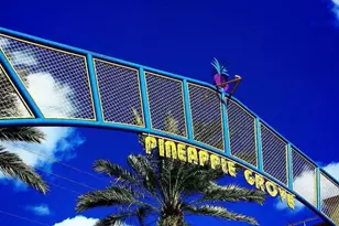 5220 Las Verdes Cir, Delray Beach, FL 33484 - Photo 46