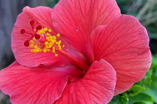 4026 SW Haycroft St, Port Saint Lucie, FL 34953 - Photo 24