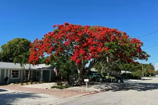 504 69th St, Bradenton Beach, FL 34217 - Photo 60