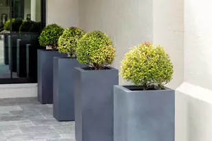 2555 NW 59th St, Boca Raton, FL 33496 - Photo 22