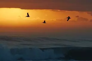 3400 NW 47th Ave, Coconut Creek, FL 33063 - Photo 46