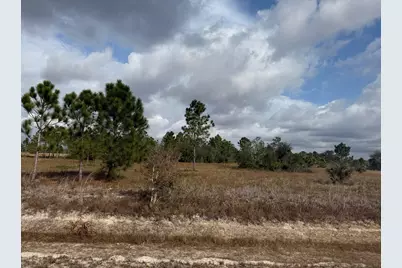 16375 NW 314th Street, Okeechobee, FL 34972 - Photo 1