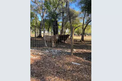 1220 A Road, Labelle, FL 33935 - Photo 16