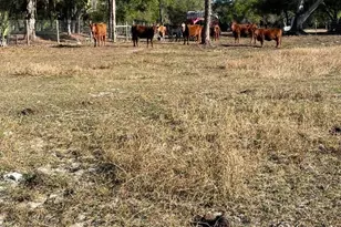 1220 A Rd, Labelle, FL 33935 - Photo 32