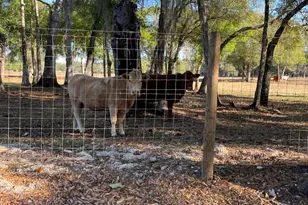 1220 A Rd, Labelle, FL 33935 - Photo 16