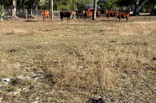 1220 A Rd, Labelle, FL 33935 - Photo 32