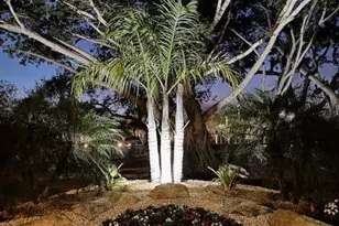 8216 Cypress Point Rd, West Palm Beach, FL 33412 - Photo 62