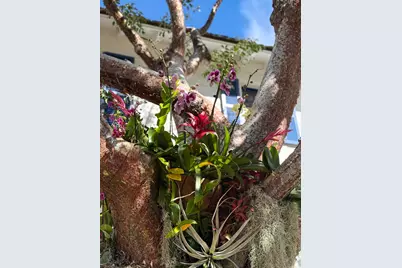 101 Palmetto Lane, West Palm Beach, FL 33405 - Photo 84