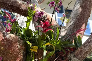 101 Palmetto Ln, West Palm Beach, FL 33405 - Photo 84