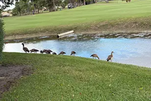 13054 Touchstone Pl, Palm Beach Gardens, FL 33418 - Photo 16