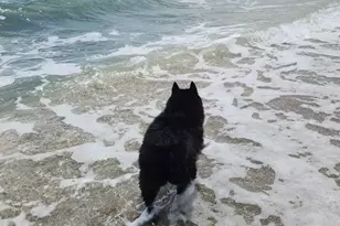 115 Olympus Way, Jupiter, FL 33477 - Photo 32