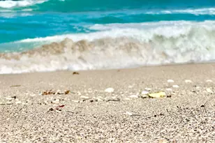 5400 N Ocean Dr, Singer Island, FL 33404 - Photo 36