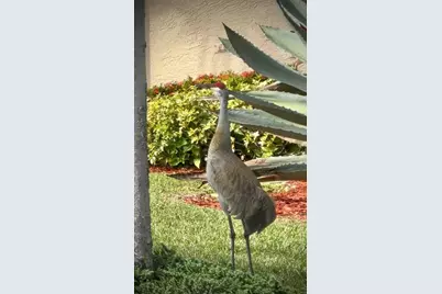 9391 Bridgeport Drive, West Palm Beach, FL 33411 - Photo 34