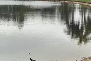 9391 Bridgeport Dr, West Palm Beach, FL 33411 - Photo 30