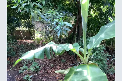 424 59th Street, West Palm Beach, FL 33407 - Photo 34