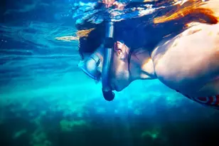 6381 Bay Club Dr, Fort Lauderdale, FL 33308 - Photo 66