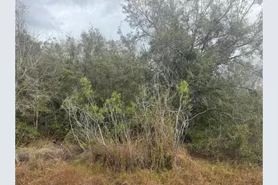 17667 NW 254th Street, Okeechobee, FL 34972 - Photo 1