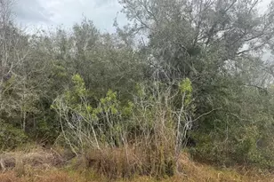 17667 NW 254th St, Okeechobee, FL 34972 - Photo 1