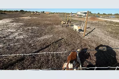 21377 NW 276th Street, Okeechobee, FL 34972 - Photo 6