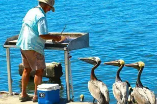 616 NW Whitfield Way, Port Saint Lucie, FL 34986 - Photo 68