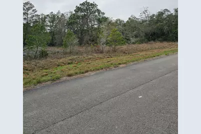 35485 NE 7th Drive, Okeechobee, FL 34972 - Photo 4