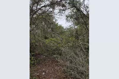 35485 NE 7th Drive, Okeechobee, FL 34972 - Photo 28