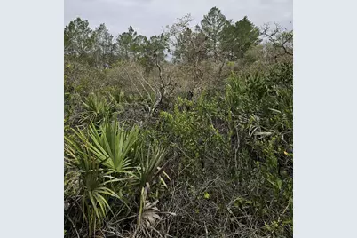 35485 NE 7th Drive, Okeechobee, FL 34972 - Photo 10