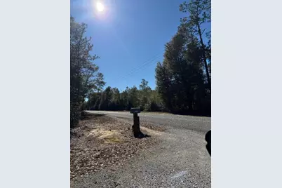 19818 Deep Springs Road, Fountain, FL 32438 - Photo 22