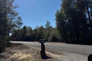 19818 Deep Springs Rd, Fountain, FL 32438 - Photo 22