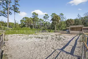 2910 Doe Trail, Loxahatchee, FL 33470 - Photo 88