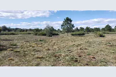 16963 NW 292nd Street, Okeechobee, FL 34972 - Photo 6