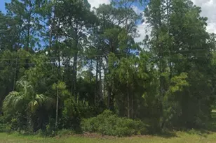Lot 8 Renault Circle, North Port, FL 34291 - Photo 1