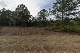 Tbd Mullins Ave, Interlachen, FL 32148 - Photo 1