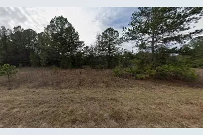 Tbd Maltas Avenue, Interlachen, FL 32148 - Photo 4