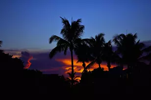 2167 Umbrella Cay, West Palm Beach, FL 33411 - Photo 34