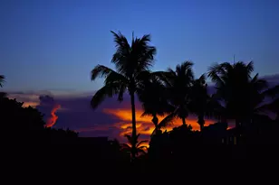 2167 Umbrella Cay, West Palm Beach, FL 33411 - Photo 36