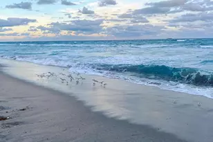 254 NW 11th Ave, Boca Raton, FL 33486 - Photo 58