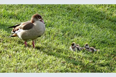 27064 SW Viterbo Way, Port Saint Lucie, FL 34986 - Photo 34